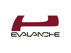 Evalanche der SC-Networks GmbH